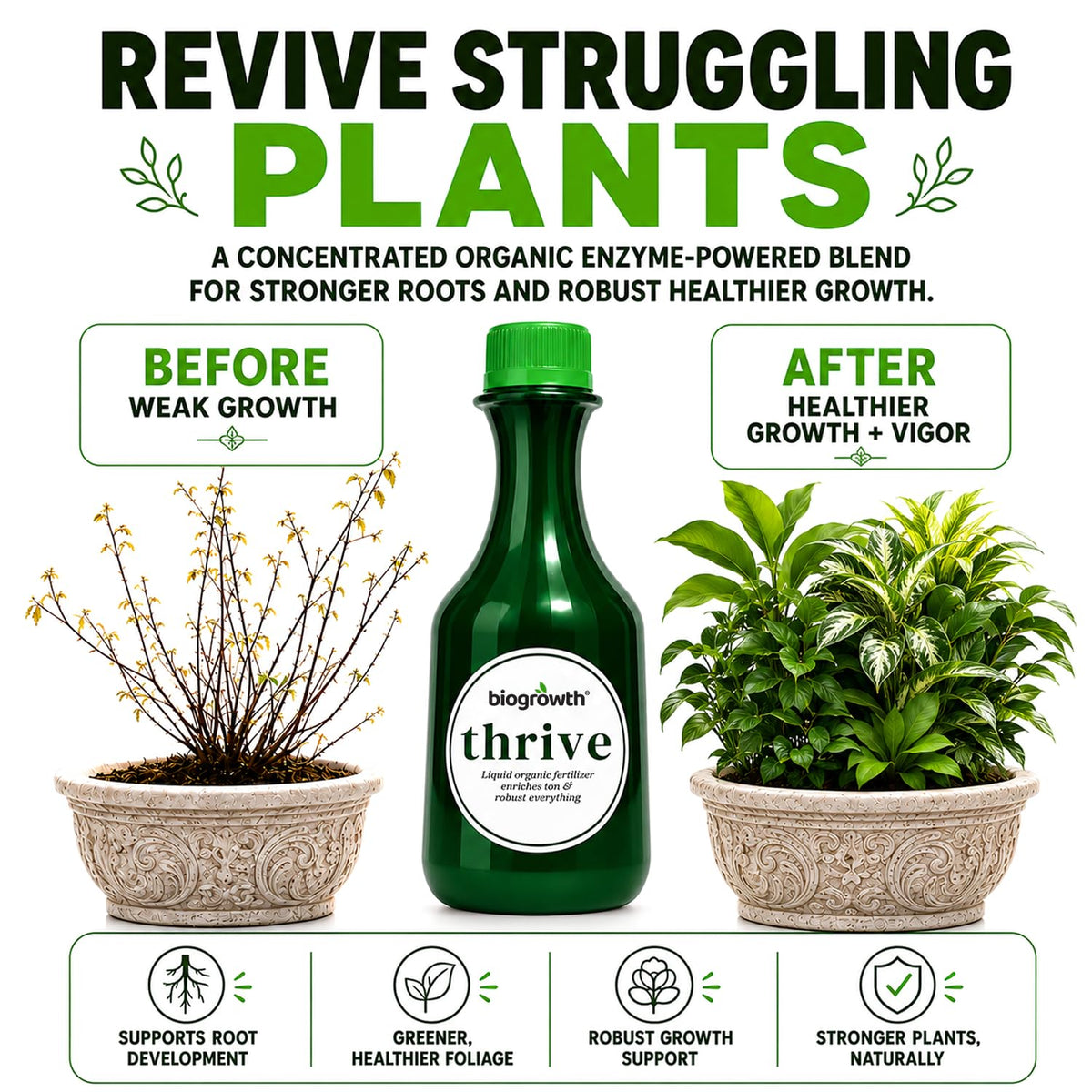 Thrive Root & Bloom Plant Food, Enzyme Blend, 8.45 oz