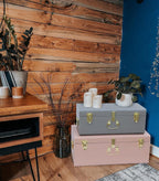 Vixdonos Decorative Metal Box Storage Trunks Set of 2 College Dorm Chest with Lock Hole,23.7X14.2X9.5 Inches(Grey and Pink)