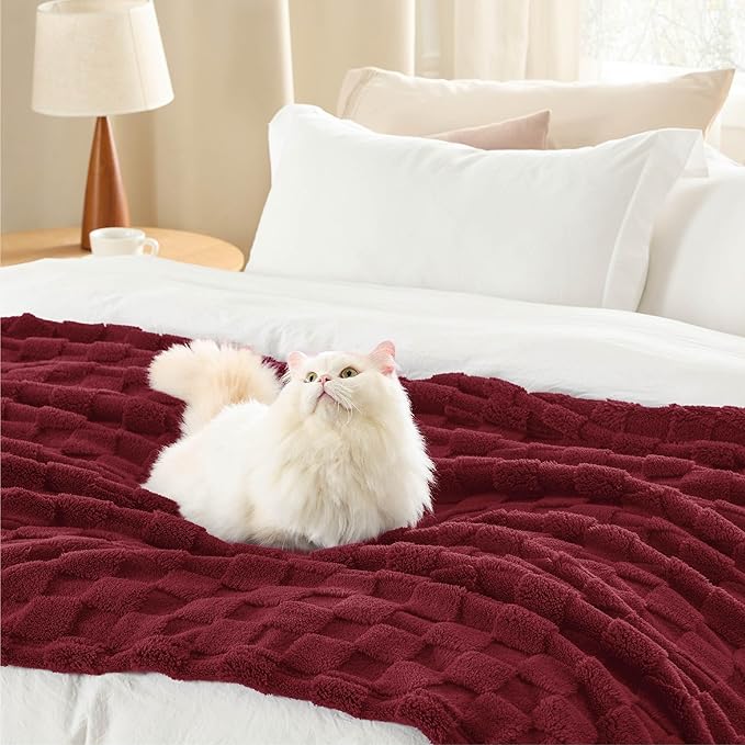 Bedsure GentleSoft Twin Blanket - Image 4