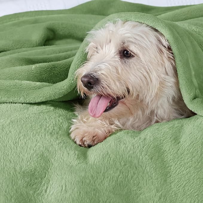 Bedsure GentleSoft Fleece Bed Blankets Full Size Green - Image 3