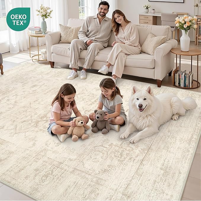 6x9 Area Rugs for Living Room: Vintage Boho Neutral Washable Rug Indoor Soft - Image 8