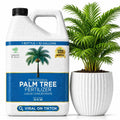 Leaves & Soul Palm Tree Fertilizer 6-4-6, Liquid Palm Plant Food, 32 oz