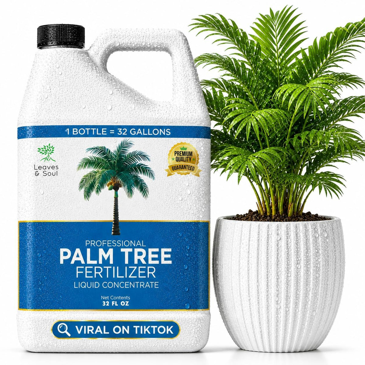 Leaves & Soul Palm Tree Fertilizer 6-4-6, Liquid Palm Plant Food, 32 oz