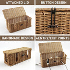 2 Pack Rattan Cable Management Box, Large Cord Organizer Box with Lid Under Desk Router Hider Storage Box with 4 Exits, Wire Box Hider for TV Wires Computer Surge Protector USB Hub Power Strip