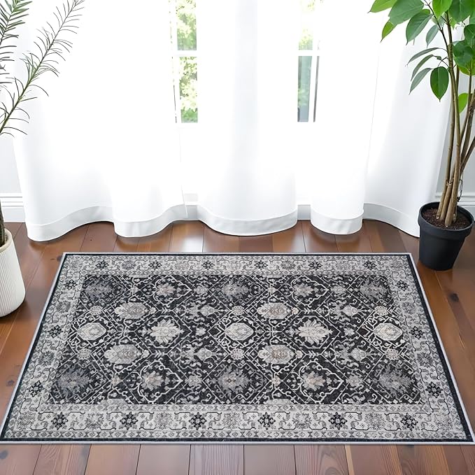 Washable 2x3 Entryway Area Rug: Vintage Soft Thin Door Mat - Image 7