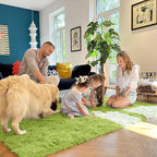 OLANLY 8x10 Machine Washable Large Area Rugs - Image 8
