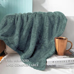 Exclusivo Mezcla Plush Fuzzy Fleece Throw Blanket Extra Large, Super Soft - Image 4