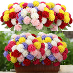 XunYee 12 Pcs Fall Artificial Flowers for Outdoor Faux Mums,Burnt Orange