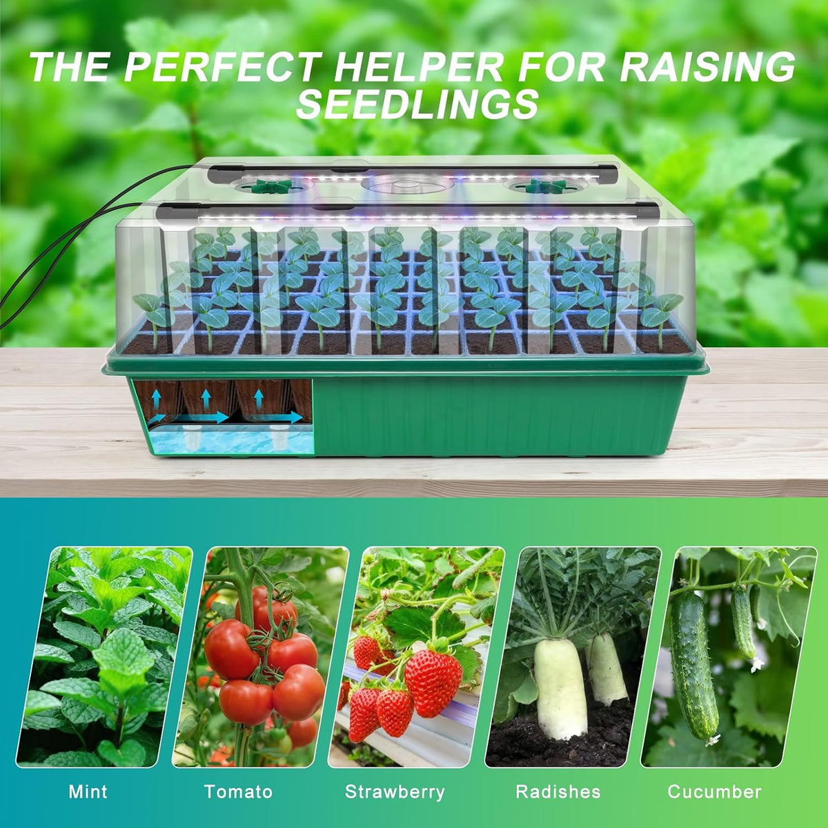GOOINMILL Self-Watering Seed Starter Tray with Timed Grow Light, 60 Cells Plant Starter Tray Seedling Starter Kit with Humidity Domes Base Indoor Mini Greenhouse Plant Germination Trays