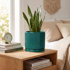 Ceramic Planter, 6 Inch Pots for Plants with Tray, Blackish Green