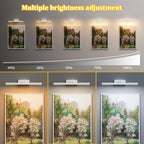 Picture Light for Wall, RF Remote, USB Charging, White