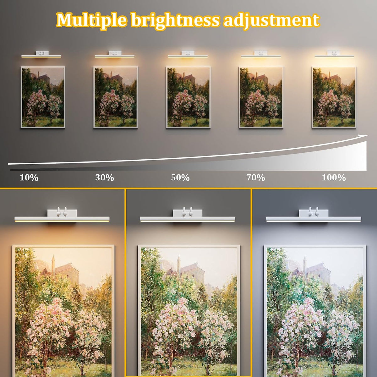Picture Light for Wall, RF Remote, USB Charging, White