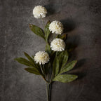 VIERENA 6 Pcs 27" Artificial Pompon Mum Silk Flower Stems for Vase (Cream)