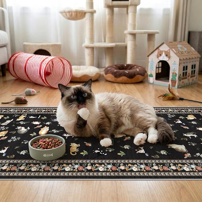 2x5 Washable Kitchen Runner Rug by EISUROM