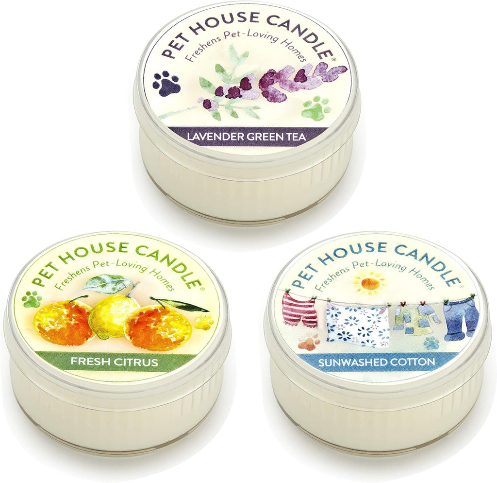 Variety Mini Candles Plant-Based Wax, 3 Pack Pet House