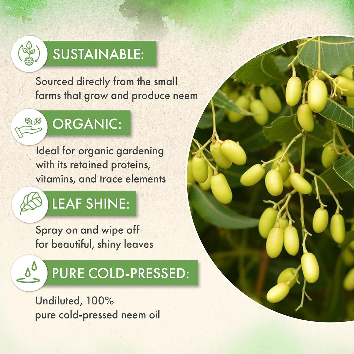 Neem Oil for Plants Indoor and Outdoor, Leaf Shine Spray, 8oz