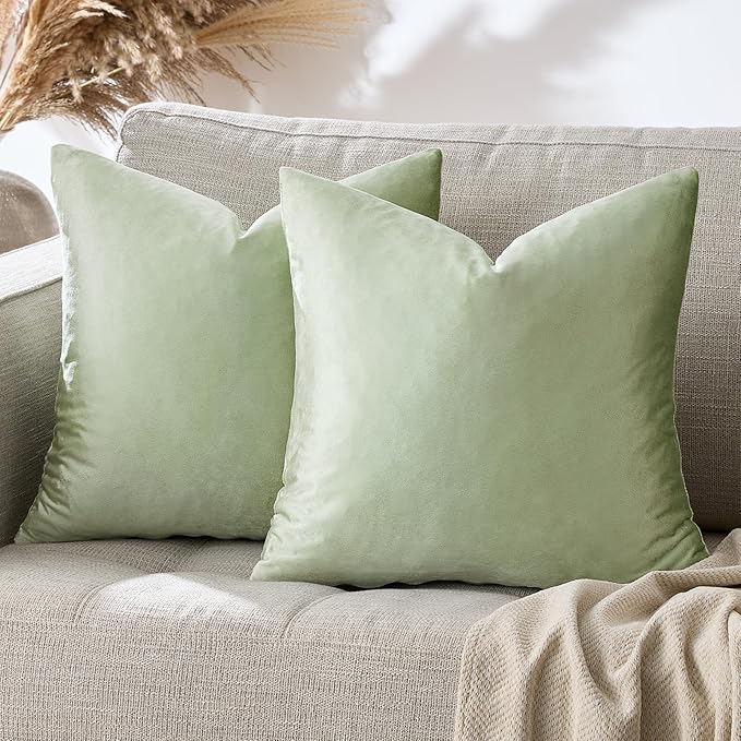 GIGIZAZA Throw Pillow Covers 22x22 Inch Sage Green Velvet Pillows Decorative by GIGIZAZAFocusingonhomedecoration