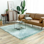 Ashler faux fur rug, Fluffy Shaggy Area Rug Ultra Soft 5 x 7 Feet Rectangle Fur - Image 5