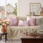 GIGIZAZA Decorative Couch Throw Pillow Cover, Square Sofa Velvet Throw Cushions - Image 2