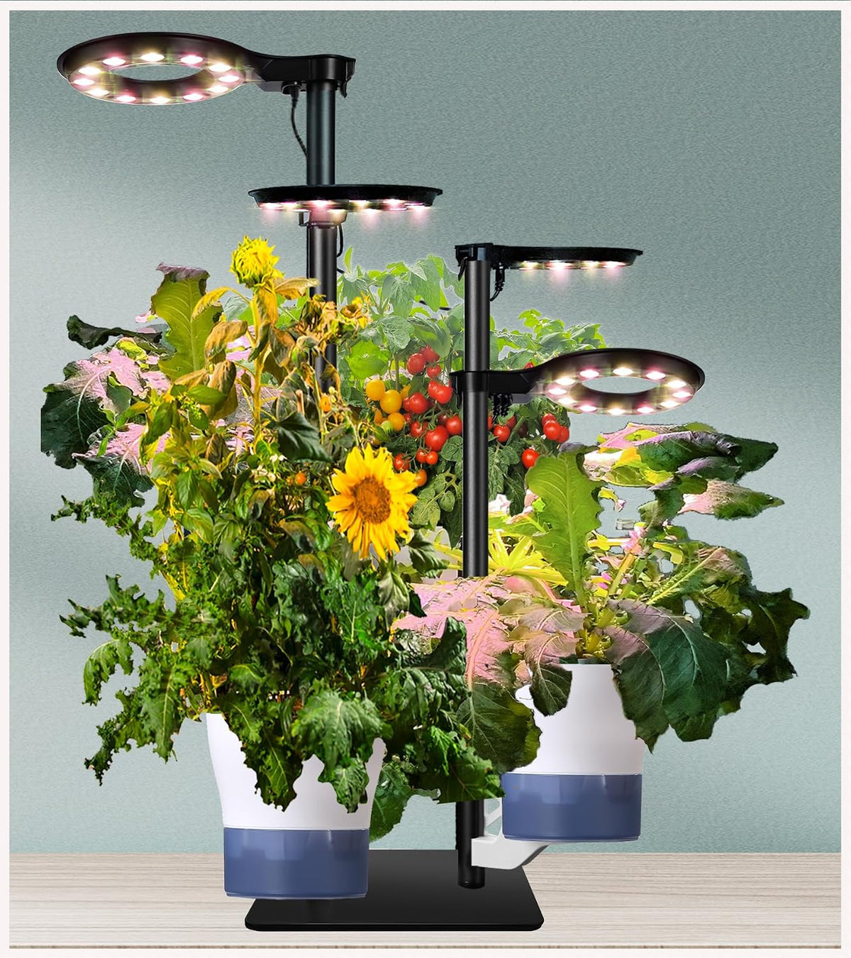 Indoor Plant Hydroponics Growing System Tower Kit with Grow light,Herb Vegetable Indoor Gardening System with Standing Floor Tall LED Grow Lights,Height Adjustable with Stand,Timer,Trellis