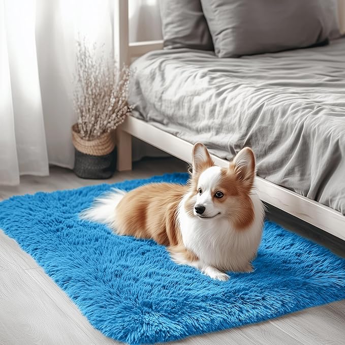 OLANLY 2x3 Machine Washable Small Bedside Rug, Soft Fluffy Shaggy Entryway by OLANLY