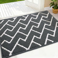 OLANLY Front Door Mat, Non-Slip Rubber Backing, Dirt Resistant and Absorbent by OLANLY
