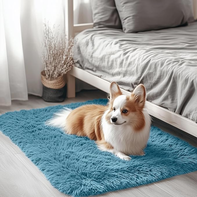 OLANLY 2x3 Machine Washable Small Bedside Rug, Soft Fluffy Shaggy Entryway by OLANLY