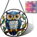 Blue Owl Acrylic Suncatcher Sun Catchers Indoor Window Gifts for Women 9.8"