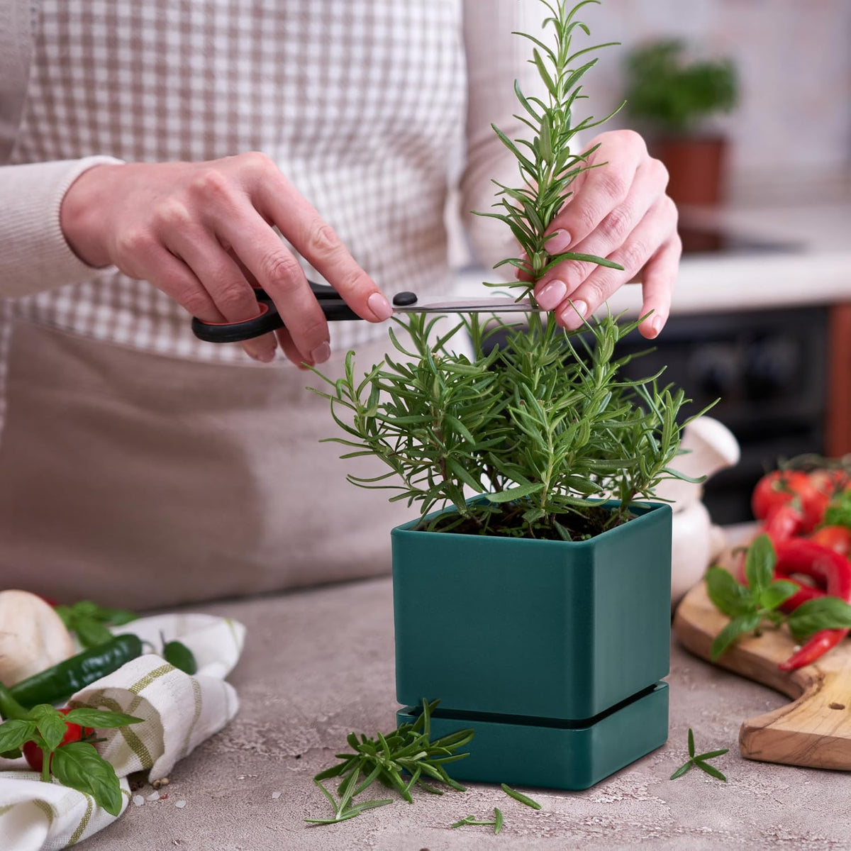 D'vine Dev 4-Pack Plastic Herb Planter Pots, 4 in, Green, 76-Y-C-1