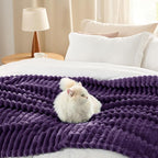 Bedsure GentleSoft Purple Twin Blanket - Image 7