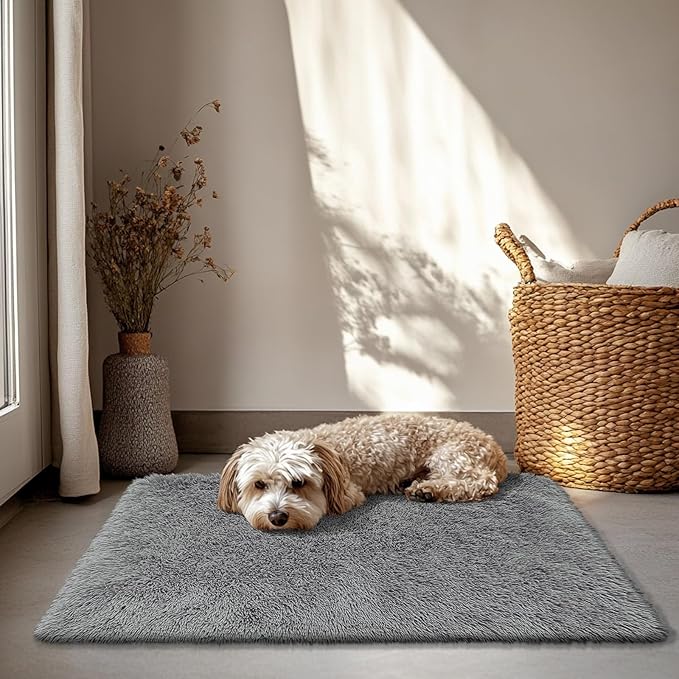 2x3 Fluffy Area Rugs for Bedroom Living Room, Small Soft Shag Fuzzy Rug - Image 5