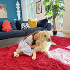 OLANLY 2x5 Machine Washable Runner Rugs - Image 3