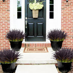 24Pcs Artificial Grass Plant Fake Outdoor Plastic Plants UV Resistant Faux Grasses Greenery Shrubs for Window Box Garden Patio Porch Home Decor Deep Purple