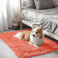 OLANLY 2x3 Machine Washable Small Bedside Rug, Soft Fluffy Shaggy Entryway by OLANLY