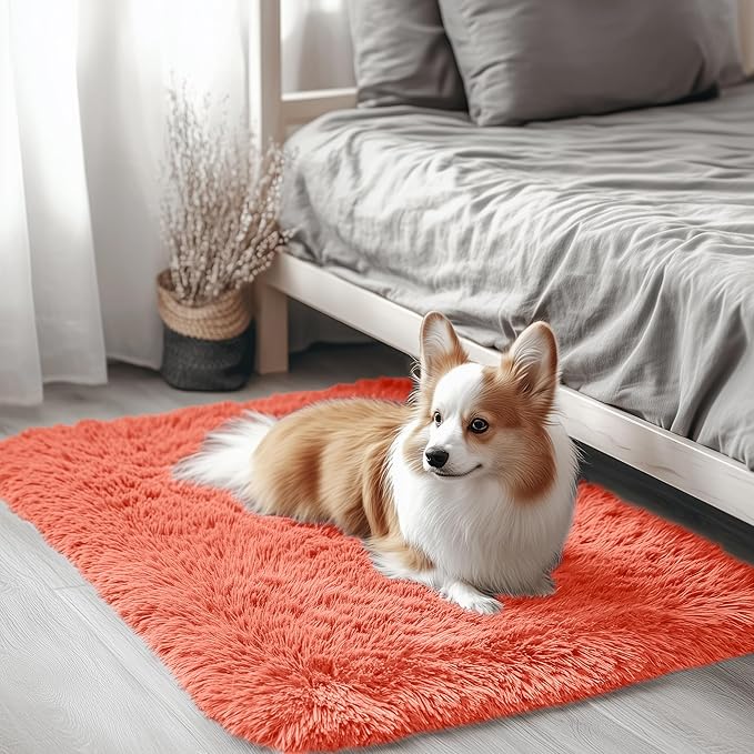 OLANLY 2x3 Machine Washable Small Bedside Rug, Soft Fluffy Shaggy Entryway by OLANLY
