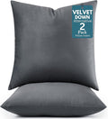 LANE LINEN Polyester Fiber Filled Decorative Cum Throw Pillow Inserts Pack of by LaneLinen