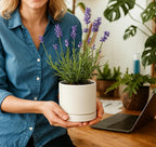 D'vine Dev 4.7 Inch Ceramic Planter Pot, White, 94-O-B-1