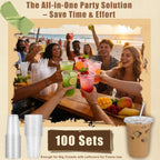 Zcaukya 100 Pack 16oz Plastic Cups with Lids and Straws, Disposable Clear Cups for Iced Coffee, Soda, Smoothies, Fruit Juices, Iced Tea and Coffee Bar Accessories