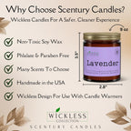 Wickless Pumpkin Spice Scented Candles for Candle Warmer Lamp, Many Scents to Choose, 100% Non-Toxic Soy Wax, Candle Melts for Warming Plate, Handmade in The USA (Pumpkin Spice Buttercream)