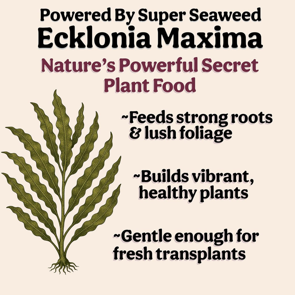 Organic Liquid Indoor Plant Food, Houseplant, Tropical & All-Purpose Indoor Plant Fertilizer, Organic Liquid Fertilizer 5-5-5 with Sea Kelp, 8oz Treats 50 Gallons