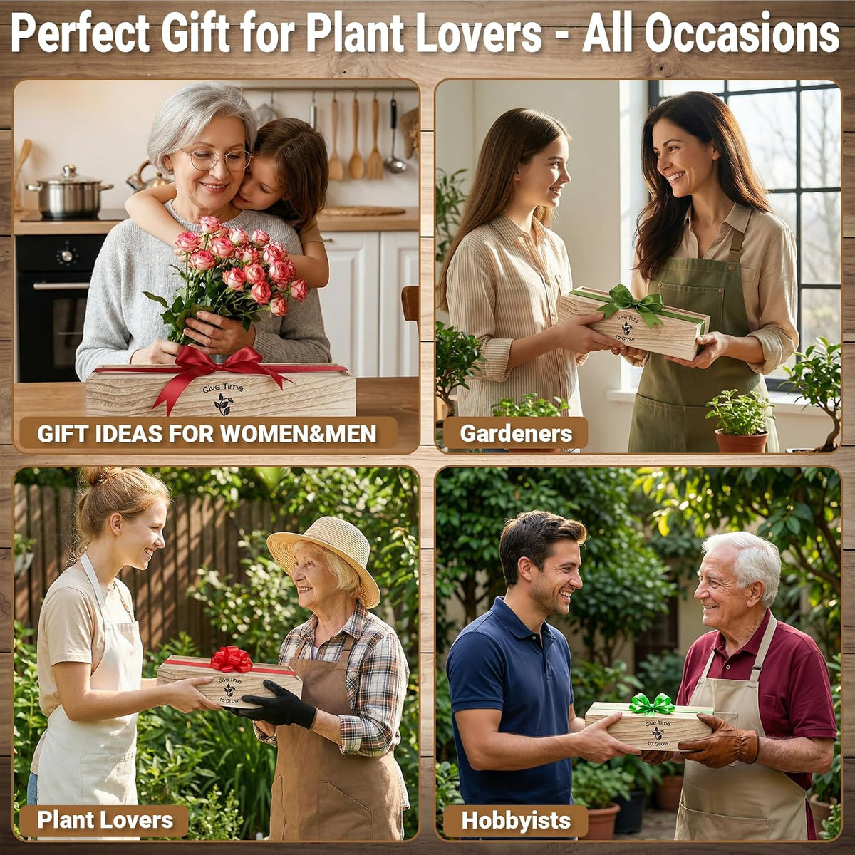 Bonsai Tree Starter Kit for Beginners 5 Unique Indoor Plants