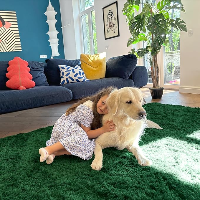 OLANLY Area Rugs for Living Room Bedroom, Machine Washable 4x5.9 ft Soft Fluffy - Image 9