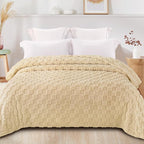 Exclusivo Mezcla Queen Size Flannel Fleece Blanket, Super Soft and Warm - Image 3