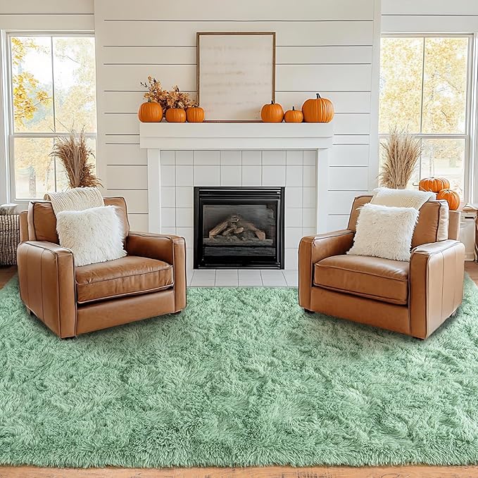 Pionblank Fluffy Large Rug for Living Room 6x9 Feet, Modern Soft Shag Area Rug - Image 3