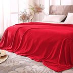 BEDELITE Fleece Blankets Queen Size Red Throw Blankets by BEDELITE