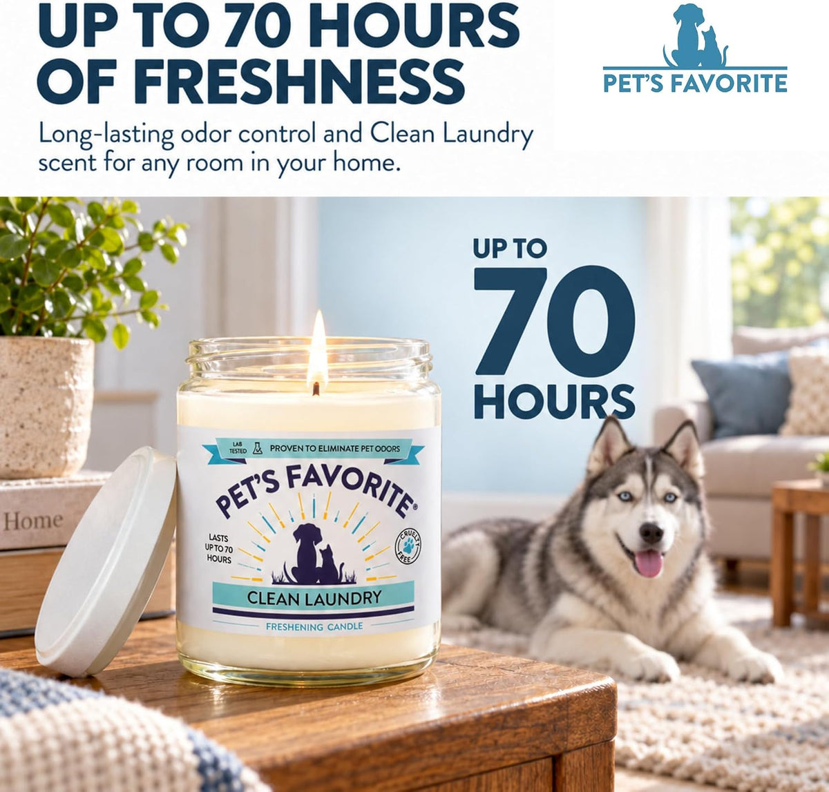 Clean Laundry Pet Odor Eliminator Candle Pet Friendly, 1 Pack