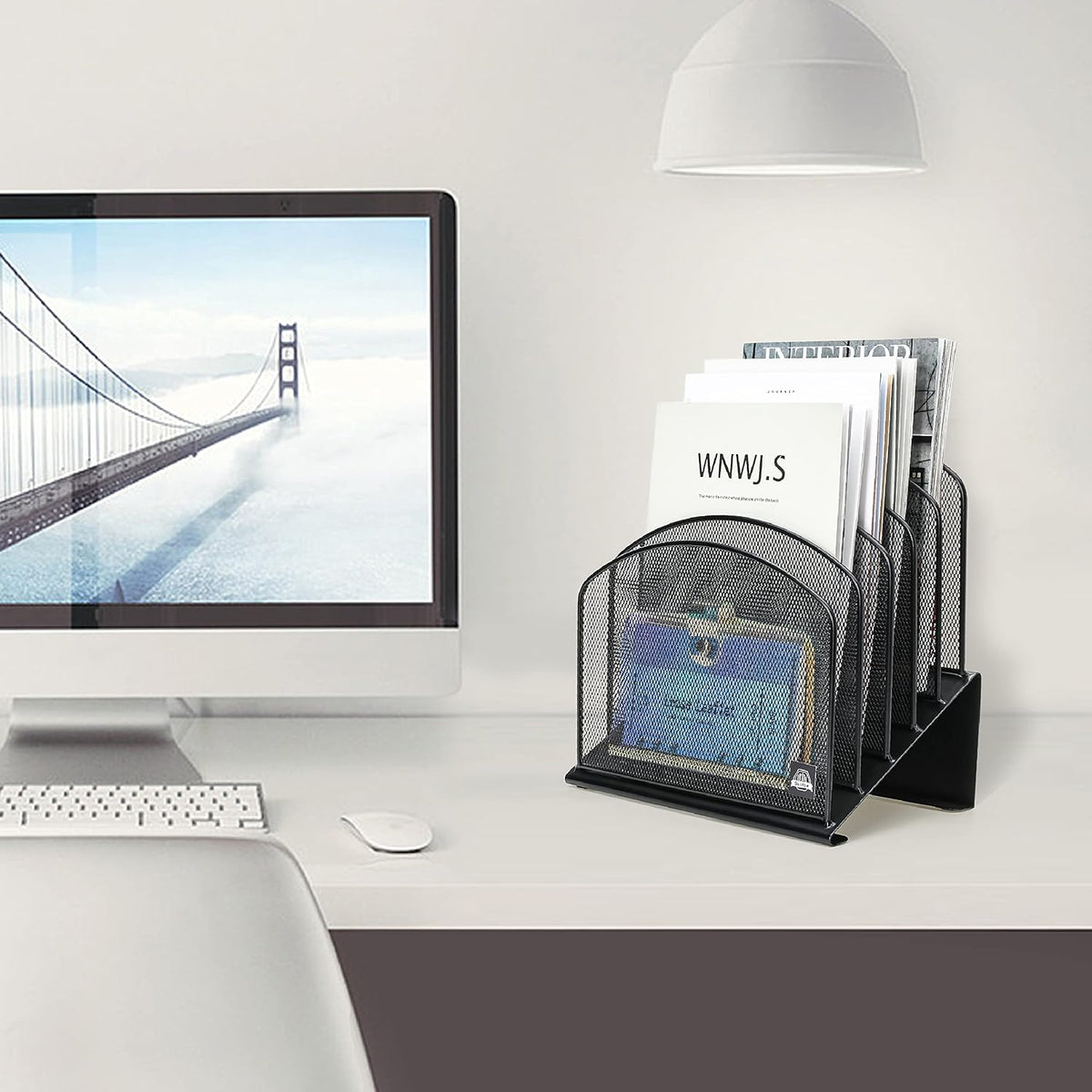 Delifox Inclined File Organizer for Desk, 5-Section Vertical File Holder