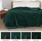 Exclusivo Mezcla Queen Size Flannel Fleece Blanket, Super Soft Striped Jacquard - Image 3