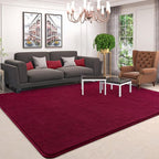 AROGAN Modern Shag Area Rug for Living Room, 5x7 Feet Washable Indoor Floor - Image 4