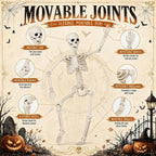 2 Pack 36" Halloween Skeleton, 3 ft Human Skeleton Full Body Posable Joints Plastic Skeleton for Halloween Decoration, Yard Patio Lawn Garden Skeleton Spooky Party Decoration Indoor Outdoor
